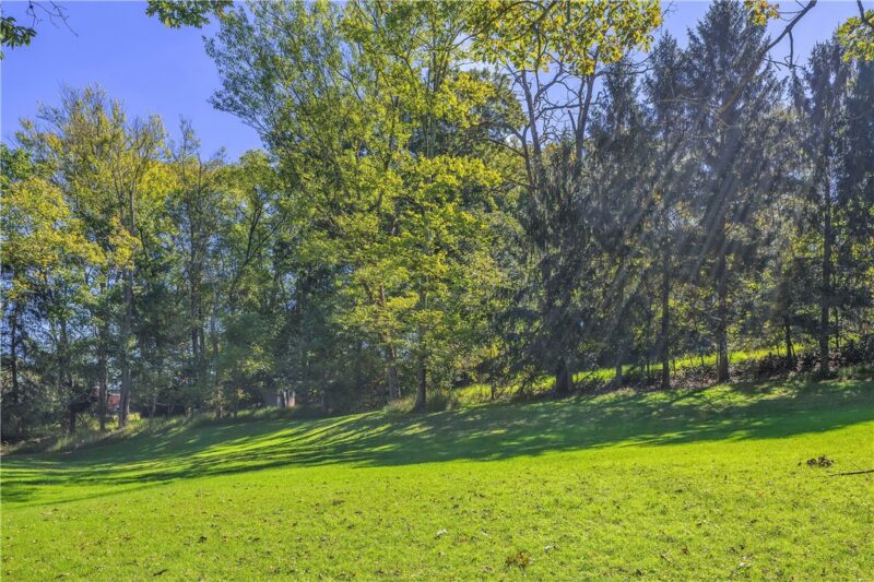 152 Community Park Rd — photo 6