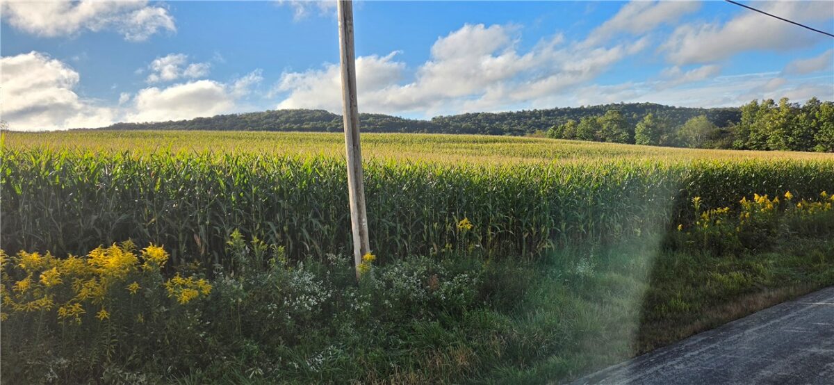 00 W Bakersville Edie Road — photo 1