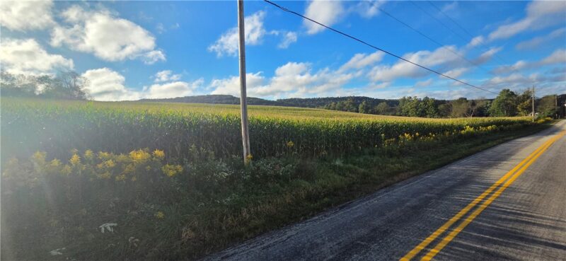 00 W Bakersville Edie Road — photo 2