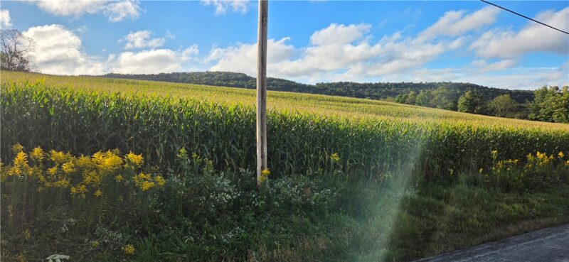 00 W Bakersville Edie Road — photo 3