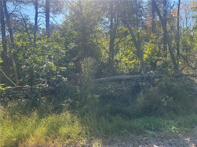 0000 Anchor Street — photo 3