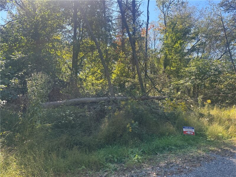 0000 Anchor Street — photo 4