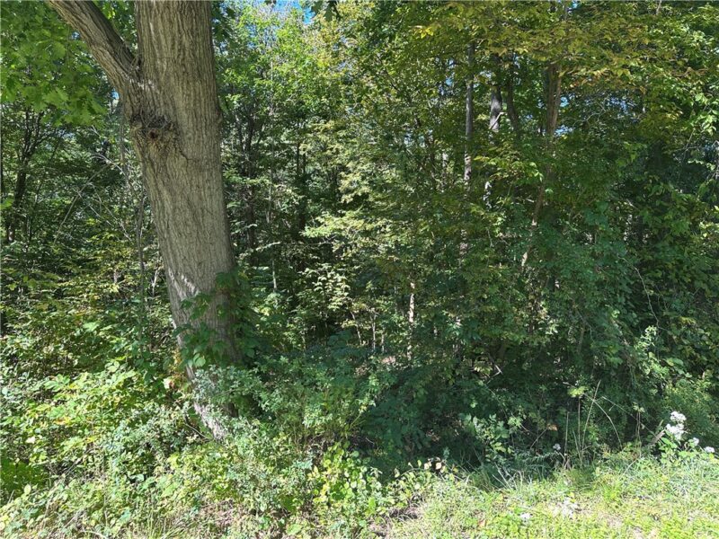 0000 Darlington Road — photo 4