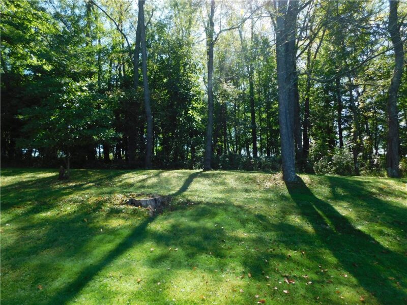 329 Sumey Road — photo 7