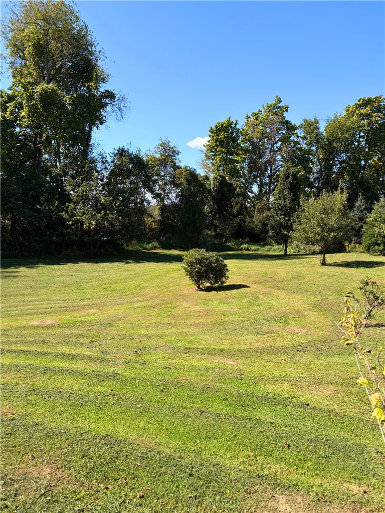 628 Carlton Road — photo 4