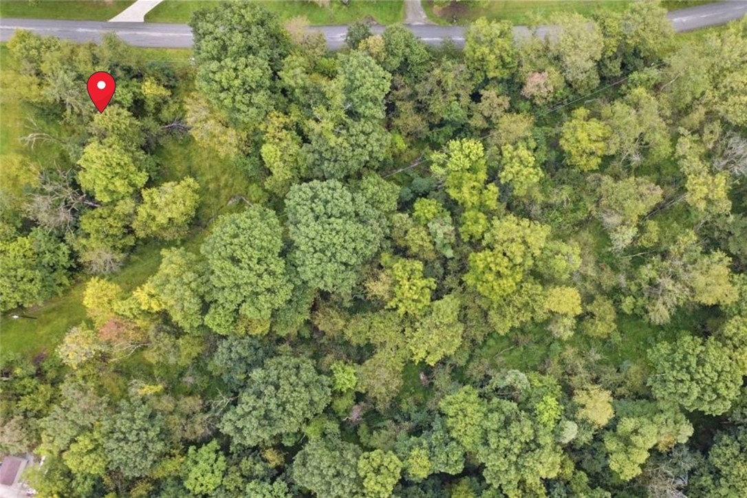 lot 29 Munntown — photo 1