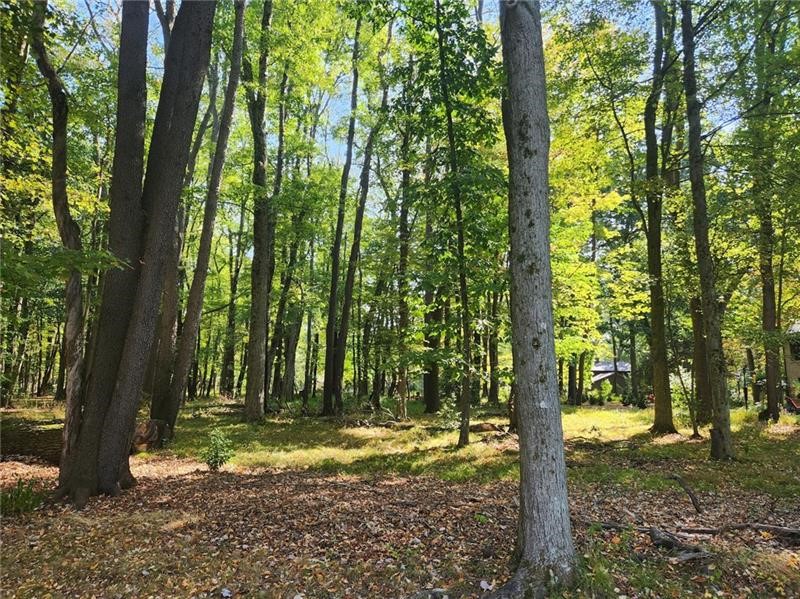 Lot 10 Winterwood Drive — photo 8