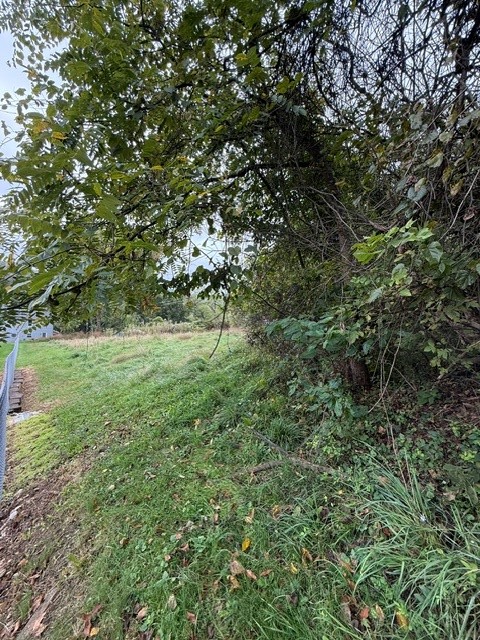 0 Boff St — photo 8