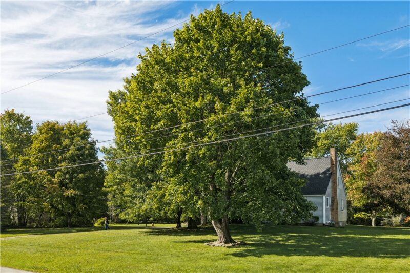 126 James Street — photo 3