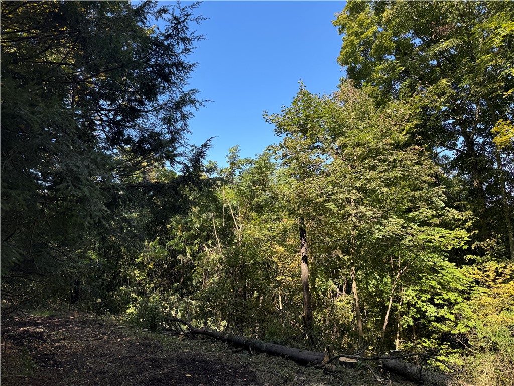 450 Mt Thor Road — photo 1