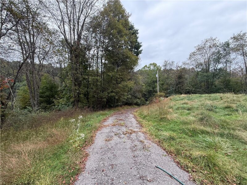 189 Shuster Hollow Rd — photo 8