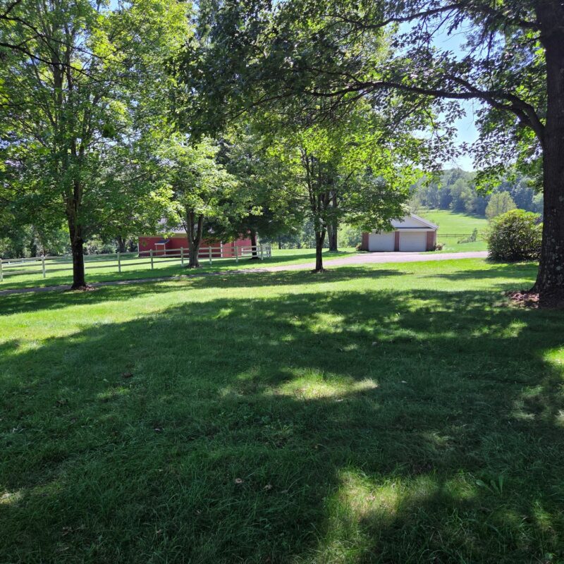 242 Camp Run ROAD — photo 5
