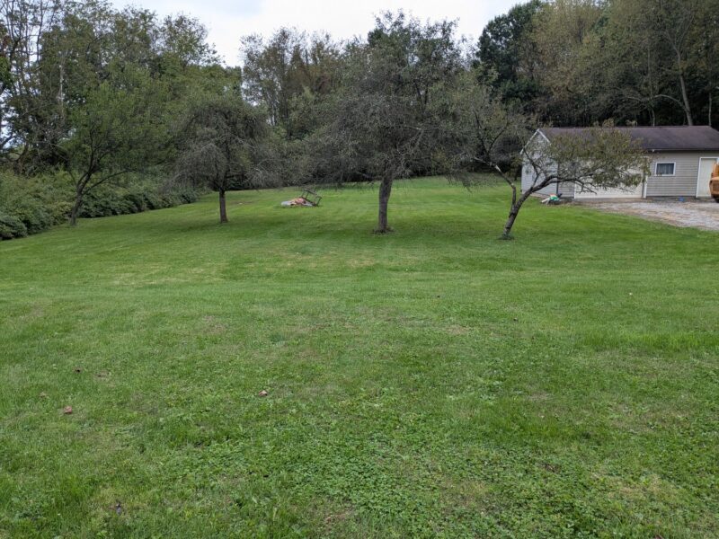 637 Wallace Run Rd — photo 5