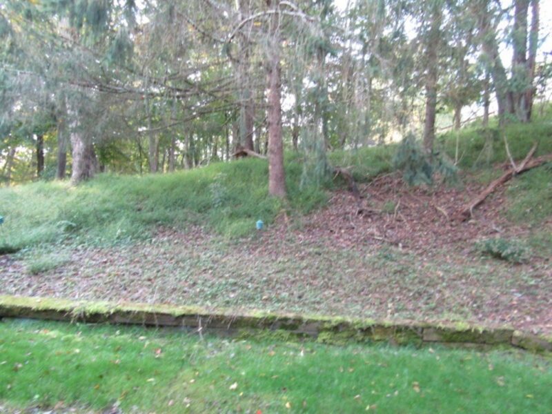 3808 Edinburg Dr — photo 7