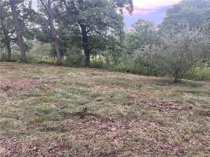 Lot #3 Saxonburg Rd — photo 4