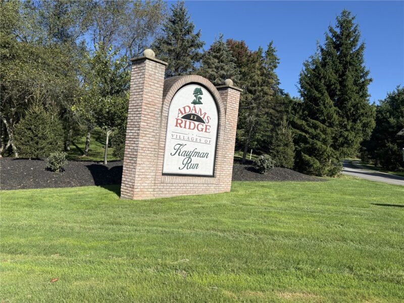 710 Bush Dr — photo 3