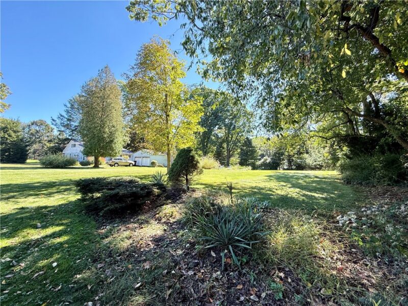 313 Crystal Springs Rd — photo 3