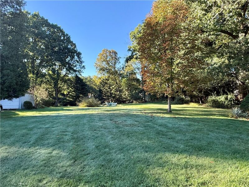 313 Crystal Springs Rd — photo 5