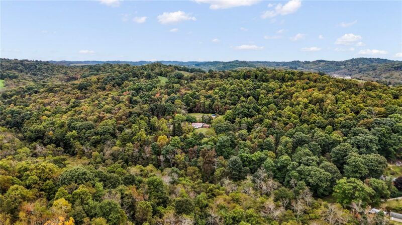 00 Blockhouse Run Rd — photo 5