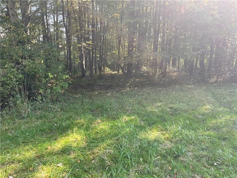 Lot #3 Old Plank Rd — photo 2