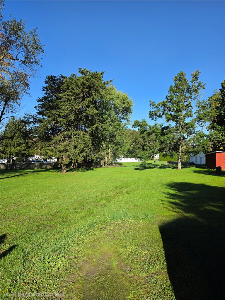 241 Brown Street — photo 7
