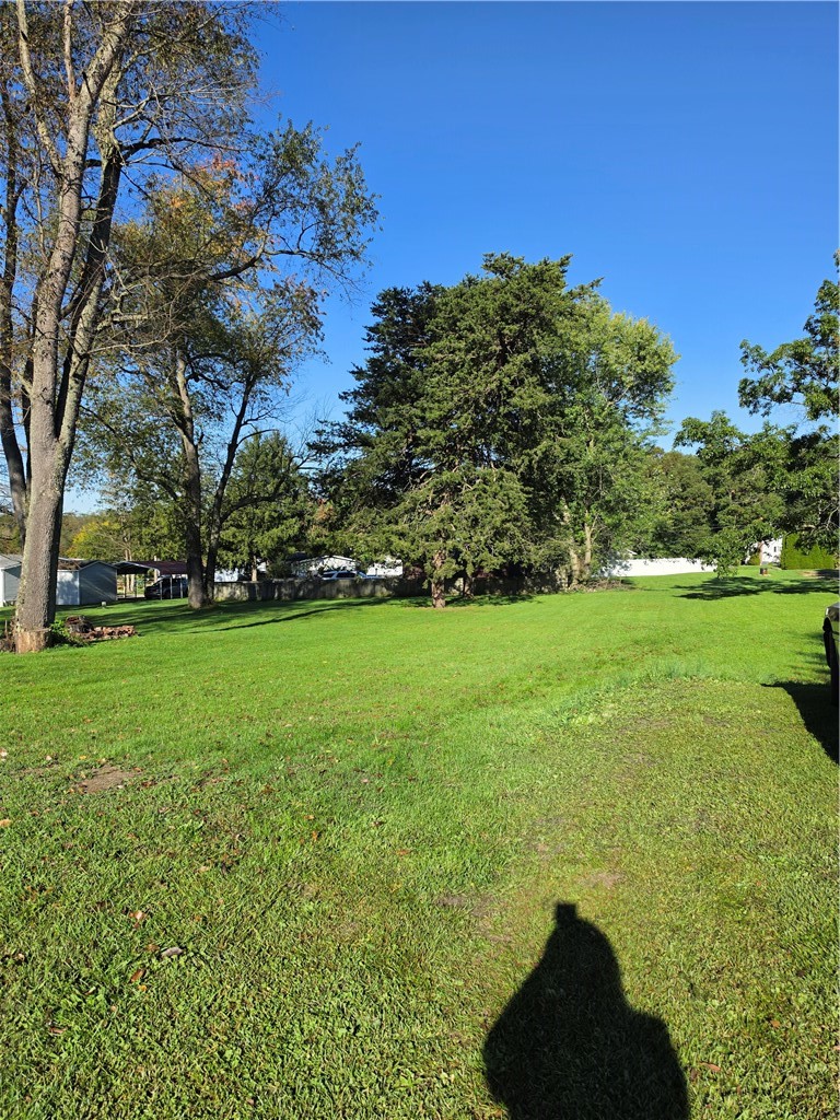 241 Brown Street — photo 8