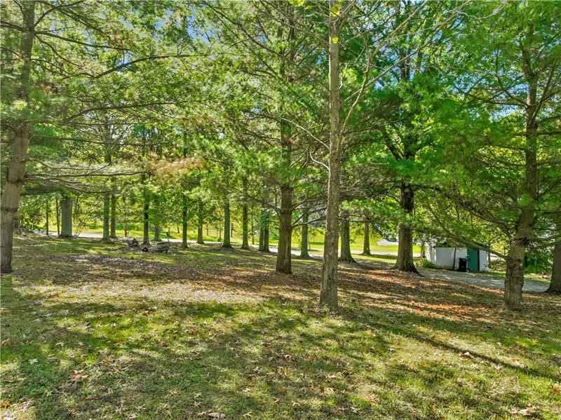 Lot #11 Vaneal Road — photo 6