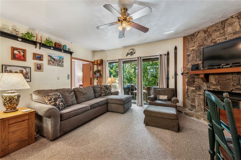 4903 Swiss Mountain Drive — photo 2