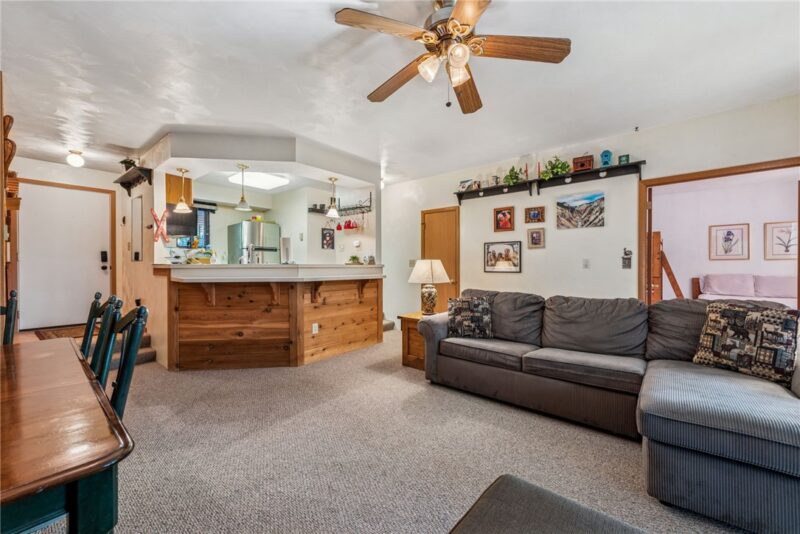 4903 Swiss Mountain Drive — photo 5