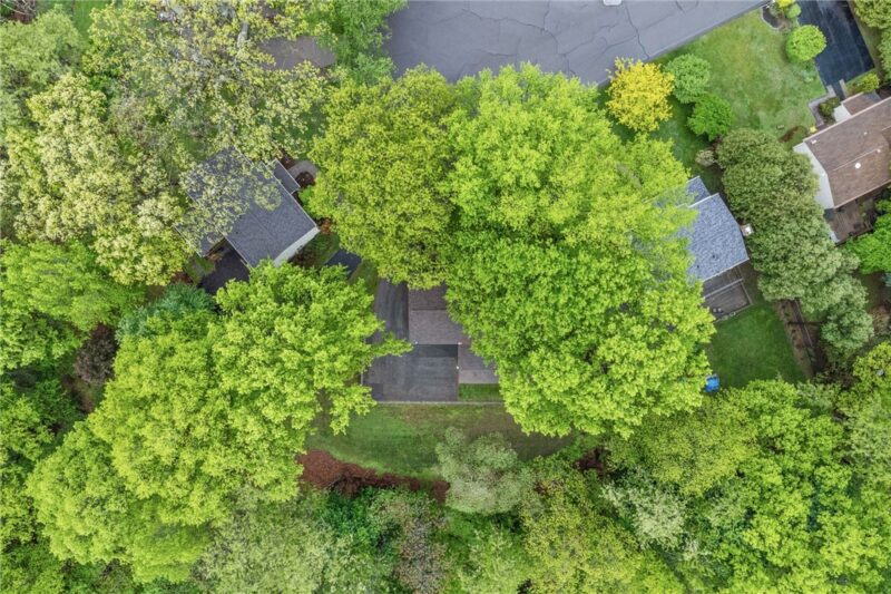 111 William Penn Circle — photo 5