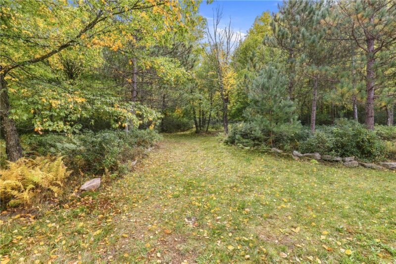 162 White Pine Lane — photo 6