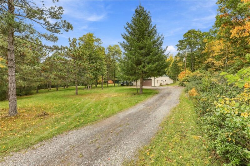 162 White Pine Lane — photo 7