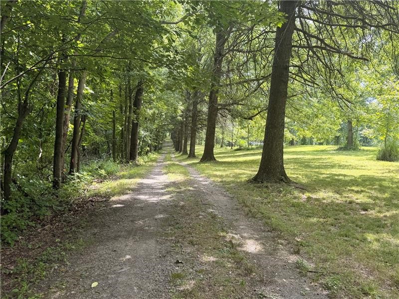 Lot #15 Warne Lane — photo 2