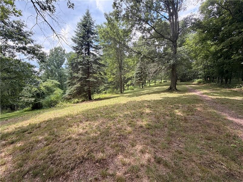 Lot #15 Warne Lane — photo 7
