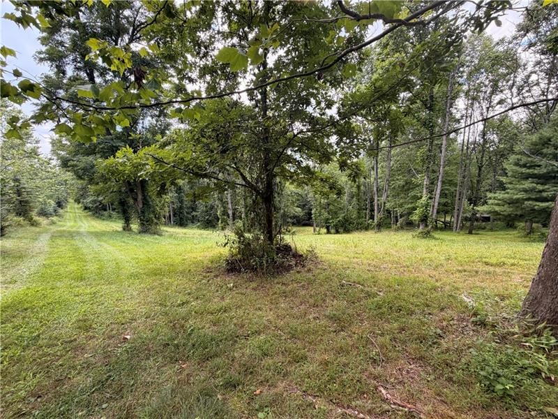 Lot #15 Warne Lane — photo 8
