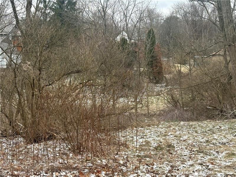 148 Zimmerle Dr — photo 7