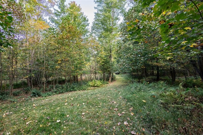 20836 Fisher Rd — photo 4