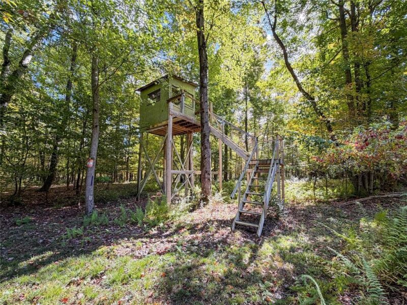 20836 Fisher Rd — photo 5
