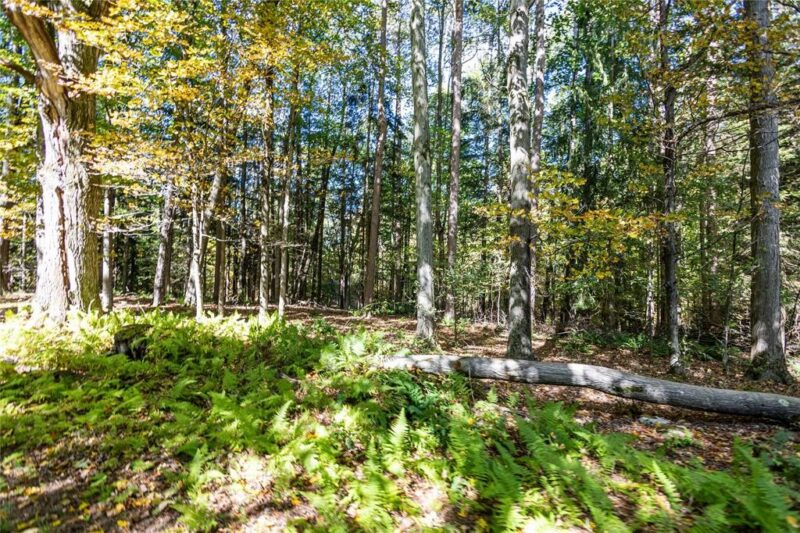 20836 Fisher Rd — photo 6