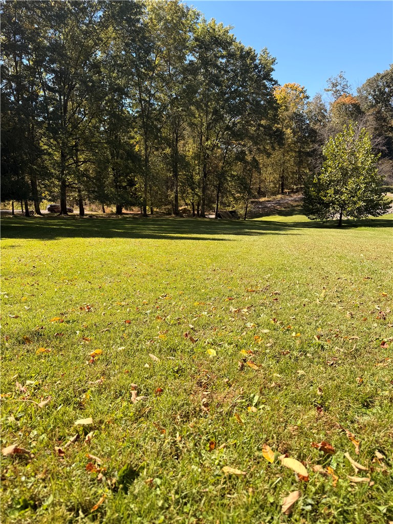 Lot# 11A Hemlock Way — photo 2