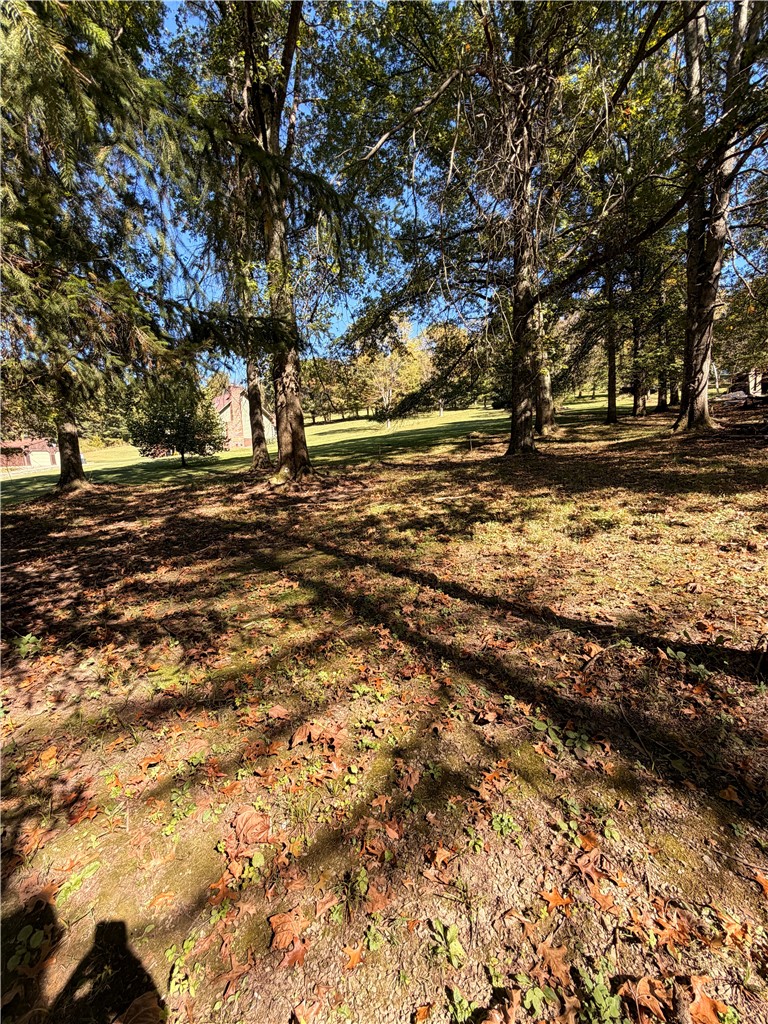 Lot# 11A Hemlock Way — photo 6