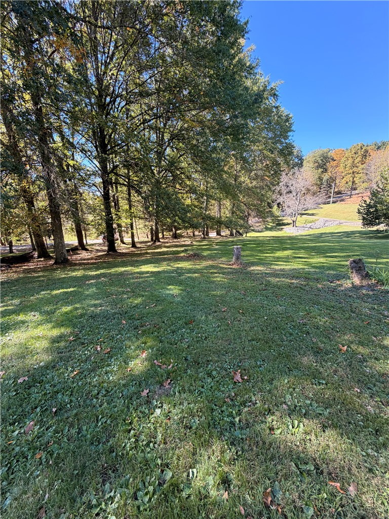 Lot# 11A Hemlock Way — photo 8