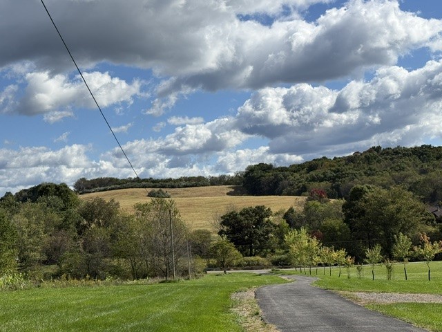 446 Monroe Rd — photo 4