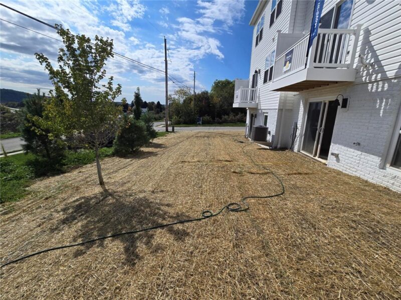 204 Paddock Lane — photo 4