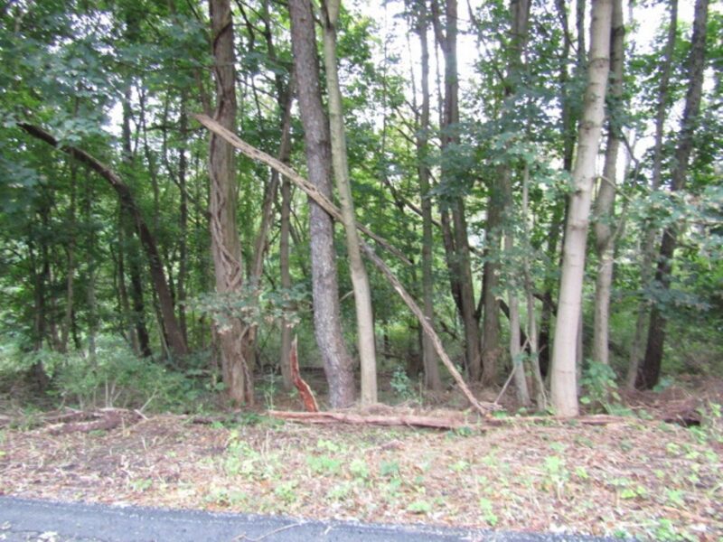 000 Ohioview Ave — photo 5