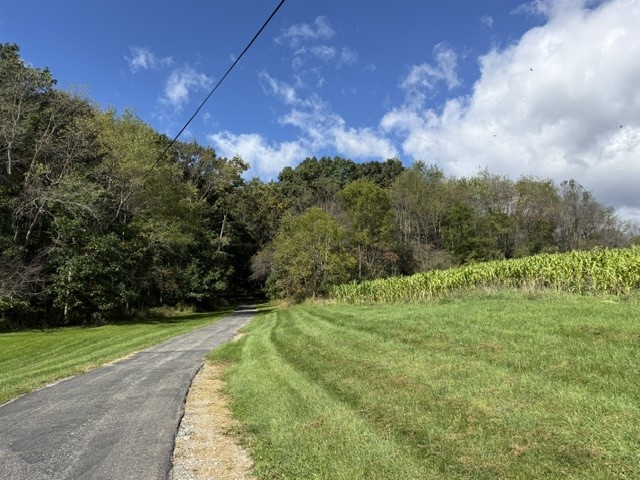 446 Monroe Rd — photo 5