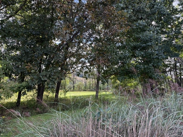 446 Monroe Rd — photo 8