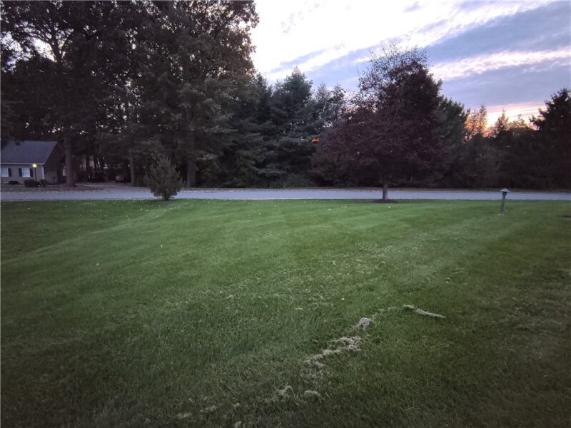 403 Surrey Ln — photo 4