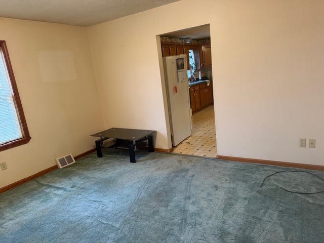 1409 Gun Club Rd — photo 5
