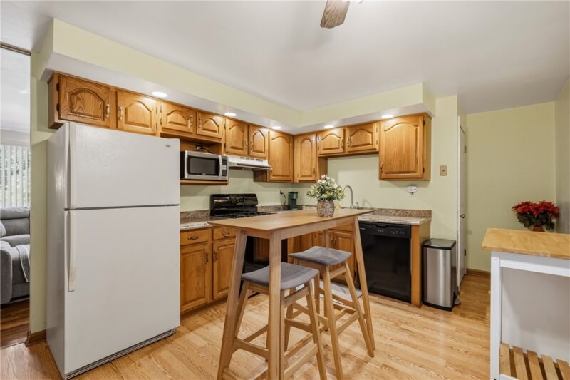 213 Alpine Village Dr — photo 5